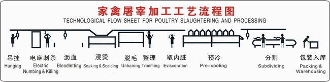 家禽屠宰加工工藝流程圖